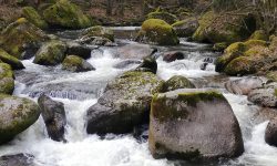 Raus in die Natur!