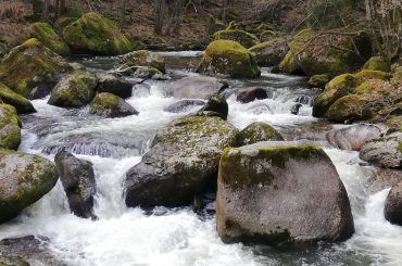 Raus in die Natur!