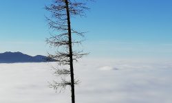 Beziehungsdramen adieu!